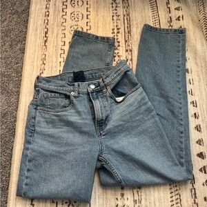 Everlane Cheeky Jeans in Light Blue